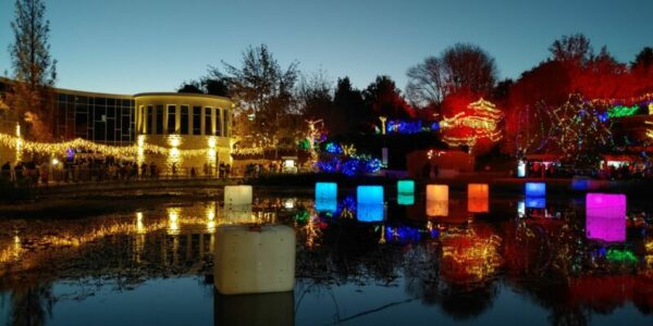 Lire la suite à propos de l’article Le jardin botanique – הגן הבוטני