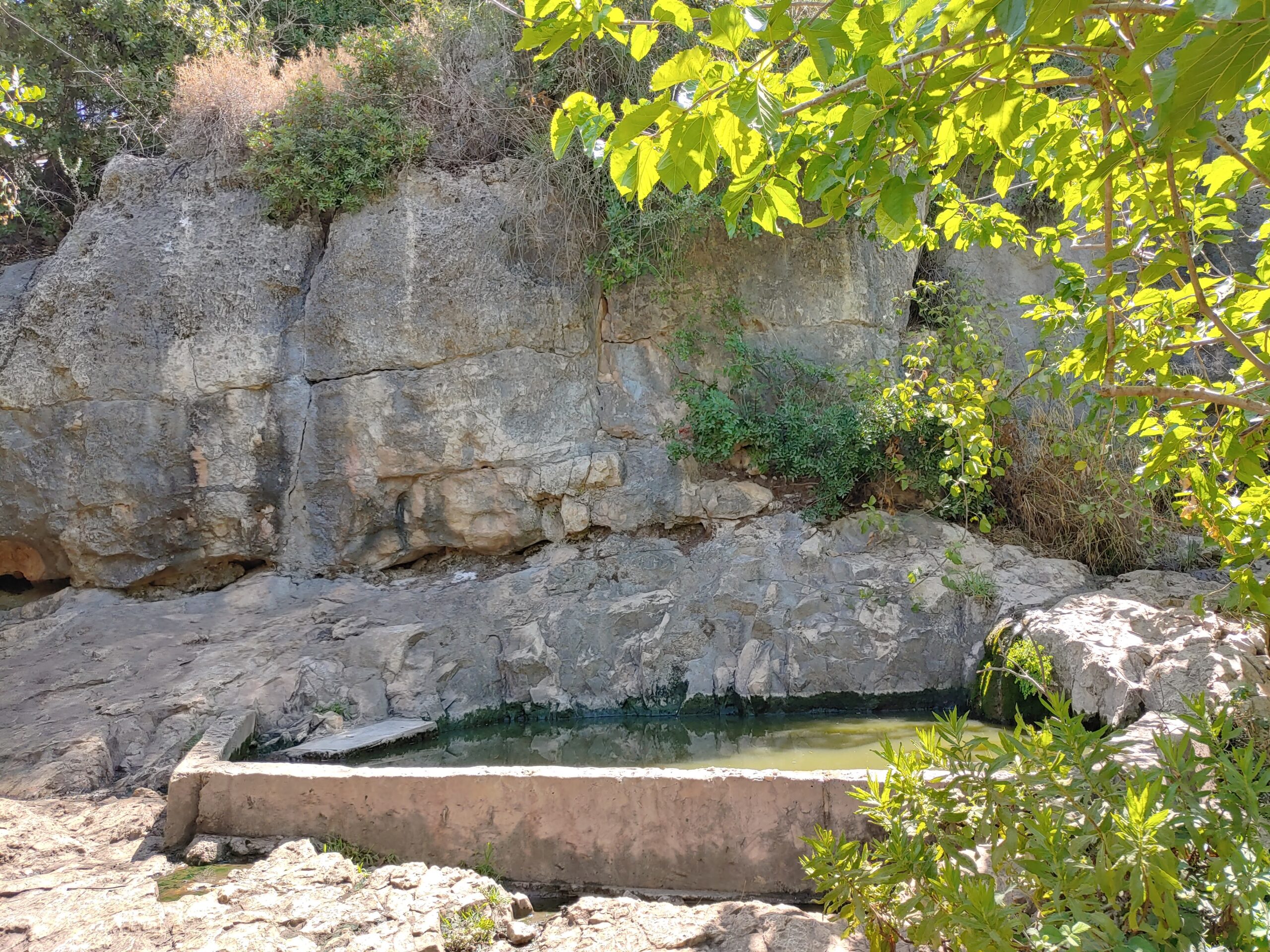 You are currently viewing Yaar Akdoshim – יער הקדושים