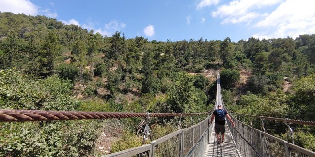 Lire la suite à propos de l’article Parc Nesher, les ponts suspendus – פארק נשר הגשרים התלויים